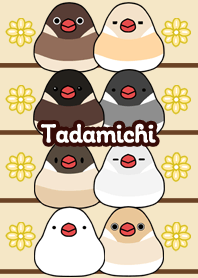 Tadamichi Round and cute Java sparrow