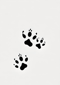 Cat paw prints yAes9