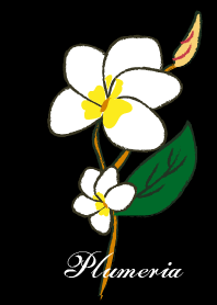 ดอกลีลาวดี