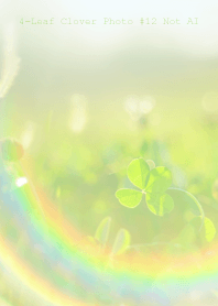 4-Leaf Clover Photo #12-18Not AI