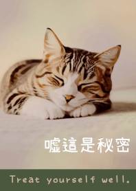 主題34-貓-可愛-舒服-想睡-晚安-綠色-白色
