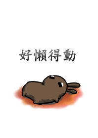 rabbit staring - lazily