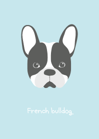 French bulldog .
