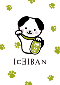 Spirit DOG / Green Tea