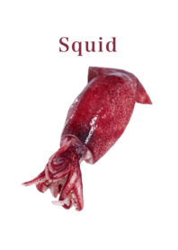 Flesh Baby squid 10