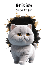 Cute British Shorthair So Cool