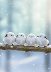 Four Birds Huddled in Snow