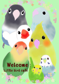 ようこそ♪小鳥と小動物カフェ