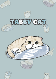 creamtabby3 - mist blue