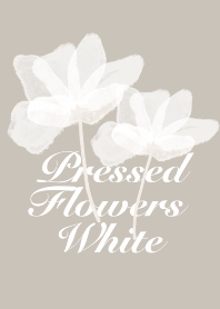 Pressed flowers White