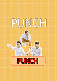 punch2564