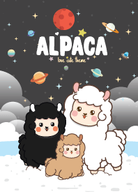 Alpaca Seaside Black