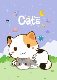 Three Cats Star Violet