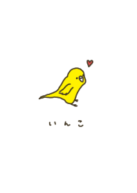 Cute parakeet. Yellow.