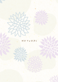 Dull color Japanese flower24