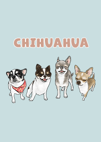 chihuahua3 / light blue