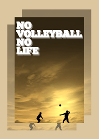 No Volleyball No Life