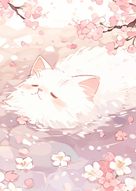 Cat bathing under cherry blossoms JP