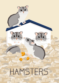 House of hamsters - Djungarian hamster -