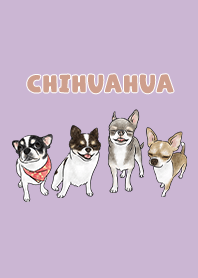 chihuahua3 - grape