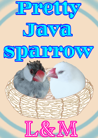 Pretty Java sparrow