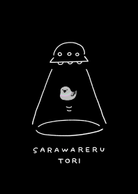 さらわれるトリ(黒)