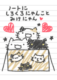 white cat and black cat15