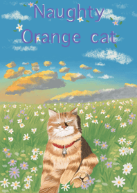Naughty Orange Cat :)