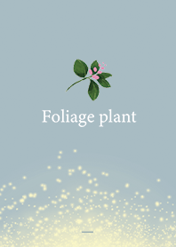 Beige Blue : Spring green luck up!