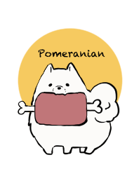 Pomeranian!!