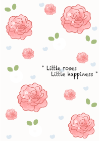 Mini beautiful rose garden 4