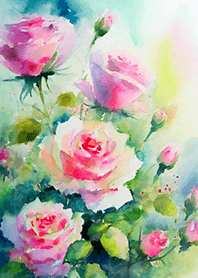 Beautiful rose flower(R2625)