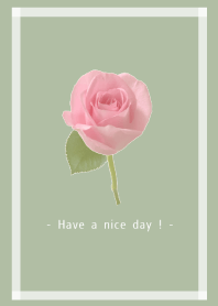- Rose Theme - 3