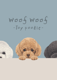 トイプードル - ダスティブルー