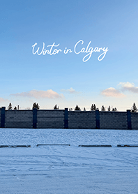 Winter in Calgary (13)