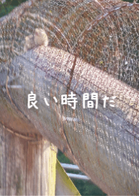 網中好奇小動物