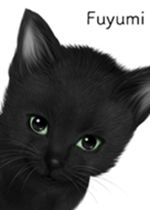 Fuyumi Cute black cat kitten