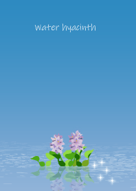July's birth flower,Water hyacinth
