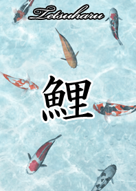 Tetsuharu Japanese style carp