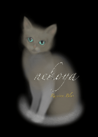 猫屋 ロシアンブルー