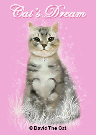 貓之夢 vol.1
