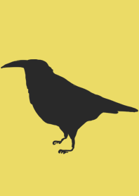 Black bird crow