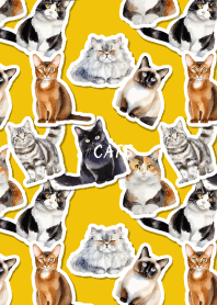 Cat Room on yellow