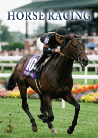 Theme of Horse Racing2