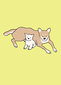 Anjing Shiba Inu_kuning