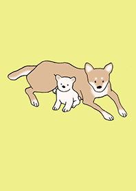 狗 柴犬_檸檬色
