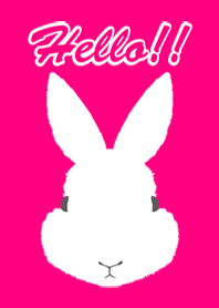 Love Rabbit!
