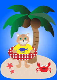 A cat and the summer beach