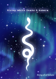 Rising White Snake & Aurora