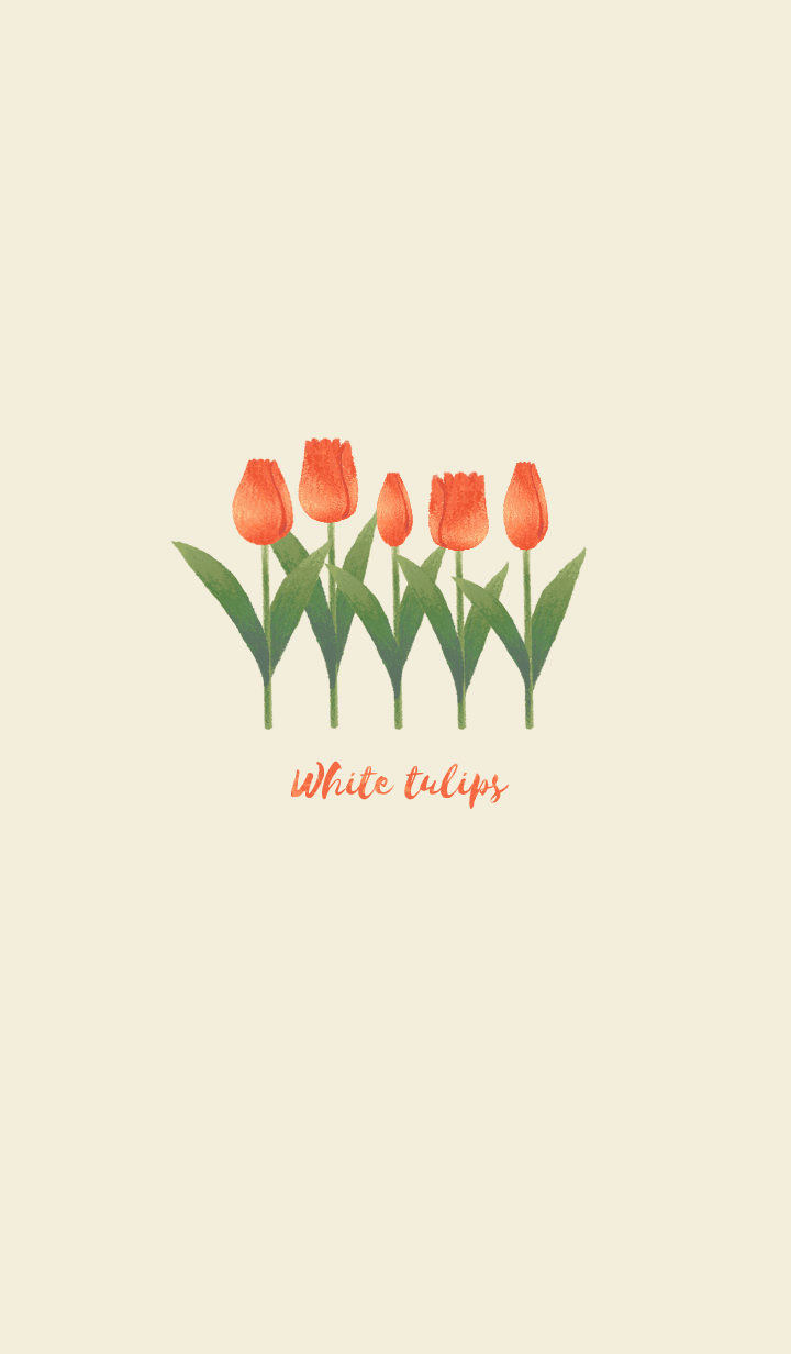 tulips -red-